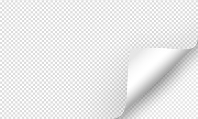 Vector illustration of the gray paper blank page with curled corner and shadow on transparent background for advertising and promotional message . Idea for your design and business. - 260754359