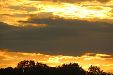 sunset over trees in France