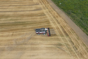 Fototapeta na wymiar Harvesting wheat harvester