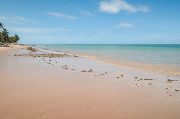 Calm beach with seaweed and rocks on sand of Praia do Bessa beach, Joao Pessoa PB, Brazil. 