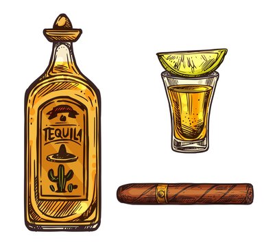 Mexican Tequila Lime Drink And Cigar Sketch