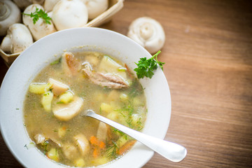 homemade rural soup with vegetables and mushrooms in a bowl