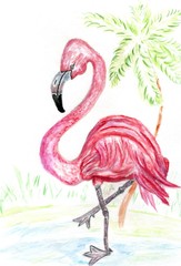 Pink flamingo art