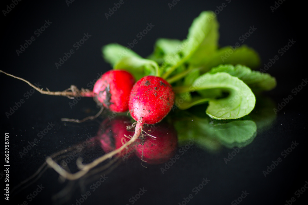 Wall mural fresh organic red radish on black background