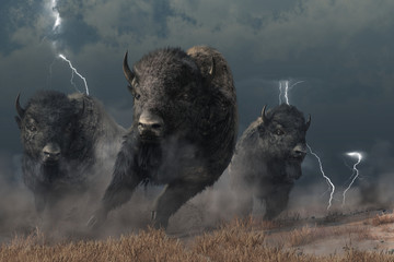 Three buffalo stampede accross the North American prairie. Driven by the flasing lightning and booming thunder of a storm, these bison raise a cloud of dust as they run.  3D Rendering - obrazy, fototapety, plakaty