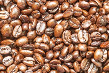 Civet coffee Bright morning drink