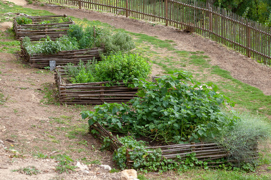 Carr&eacute; potager en noisetier