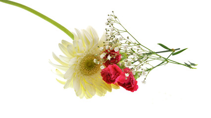 bouquet of red and white  flowers isolated on white background
