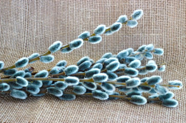 willow branches on burlap