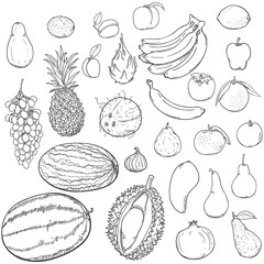 Vector Set of Sketch Fruits