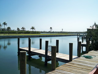 dock on water with palm trees in background