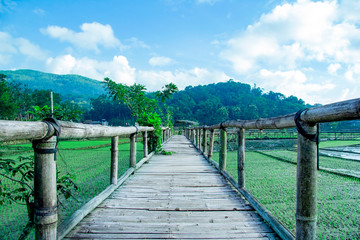 sukorame rice field, a bridge made of bamboo
