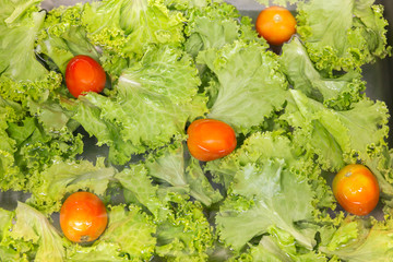 Fresh vegetables washing in kitchen sink healthy care concept.