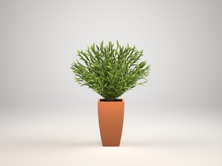 Indoor decorative plant and pot, 3d Rendering