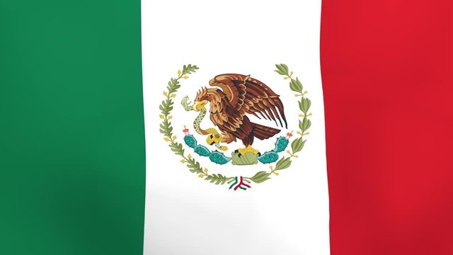 waving flag of mexico