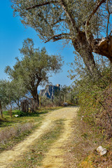 Petrela's view from above