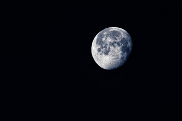 Naklejka premium Blue Moon