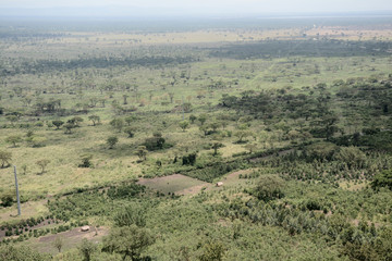 Landscape in Serengeti