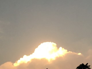 The golden cloud