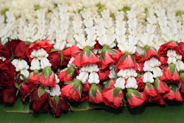 Crown flower garland thai handcraft with rose. Thai traditional gift for important day such as Thai mothers day or Songkran festival.