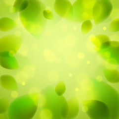 Fresh green leaves summer or spring blurred defocused, realistic bright vector illustration with copy space for text.