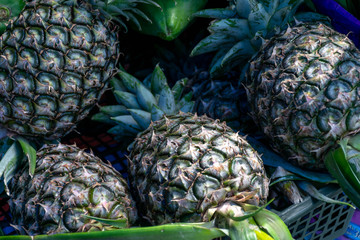 Fresh pineapples fruit Sold in the fresh market