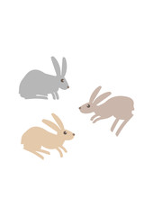 illustration of rabbit