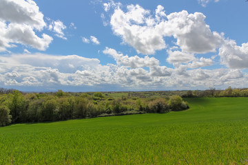 Obraz premium Horizon