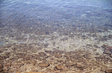 Exotic rocky beach, tropical blue mediterranean sea with waves and sea foam. Beautiful natural environment, panorama, landscape. Idyllic seaside resort in summer season, paradise and amazing scene.