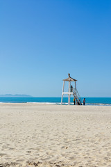 a sunny day at the beach