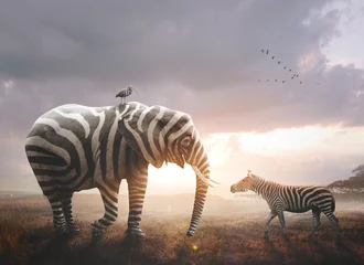 Deurstickers Zebra Olifant met zebrastrepen