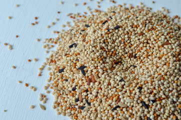 bird seed