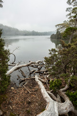 Shadow Lake. St. Clair national park. Tasmania