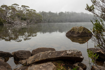 Shadow Lake. St. Clair national park. Tasmania
