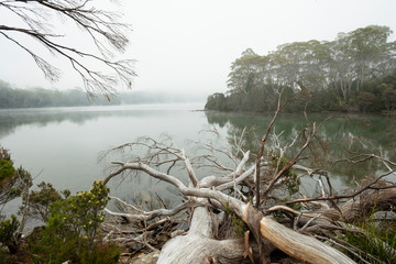 Shadow Lake. St. Clair national park. Tasmania