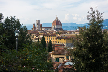 Fototapeta na wymiar Panoramic view of Florence with Palazzo Vecchio, Santa Maria del Fiore cathedral and other landmarks, Tuscany, Italy