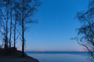 Fototapeta na wymiar Silhouettes of rare birch trees on the edge of a sandy cliff on the Baltic seashore