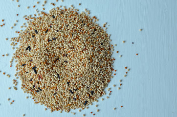 bird seed