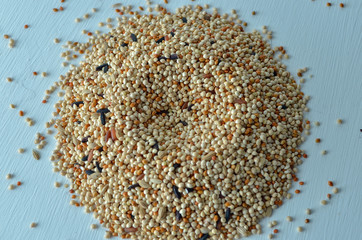 bird seed