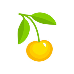 Vector illustration of white ripe cherry with stem & leaves. Flat icon of fresh berry. Isolated object