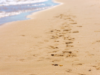 Footprints in the sand at the sea