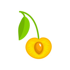 Vector illustration of white ripe cut cherry with stem, leaf & seed. Flat icon of fresh berry. Isolated object