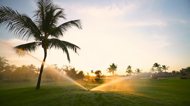 Golf course sprinkler on fairway during golden sunset