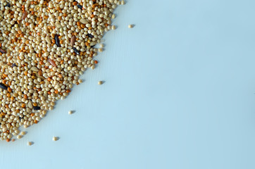 bird seed