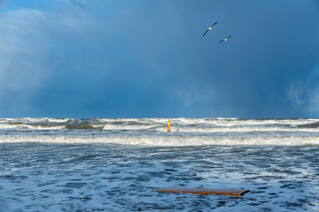 Big waves yellow buoy two gulls in Baltic sea in Stegna Selective focus