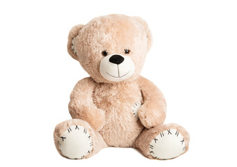 soft bear toy isolated