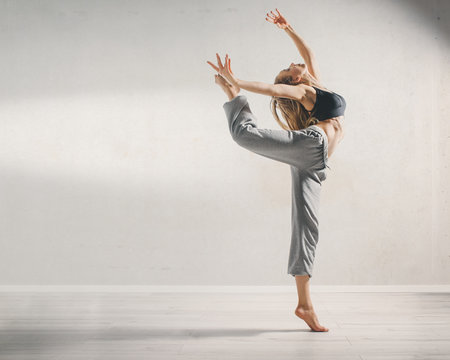 the sexy dancer