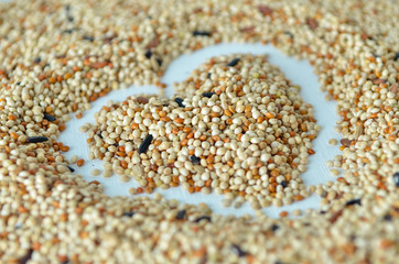 bird seed