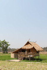 Fototapeta na wymiar Cottage on the rice field in Huai Tueng Thao, Chiangmai, Northern Thailand.