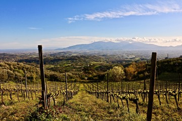 Tuscany moments 